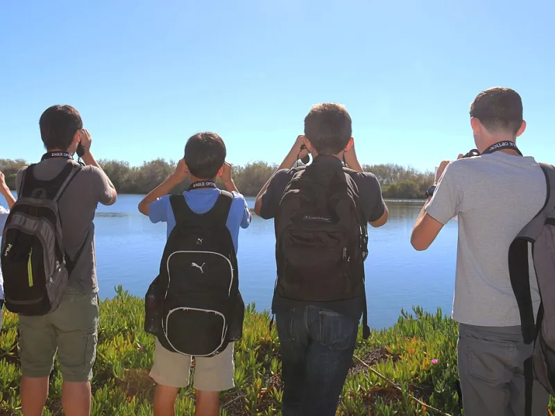 What No Test Can Measure: The Lifelong Power of Learning to Work With Others